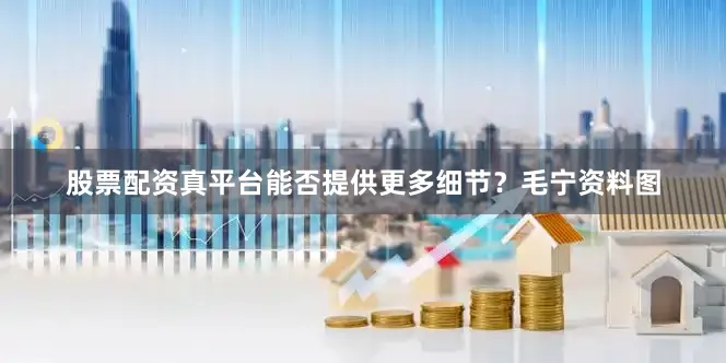 股票配资真平台能否提供更多细节？毛宁资料图