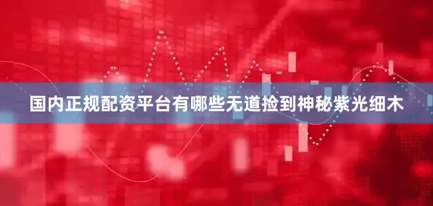 国内正规配资平台有哪些无道捡到神秘紫光细木