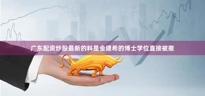 广东配资炒股最新的料是金建希的博士学位直接被撤