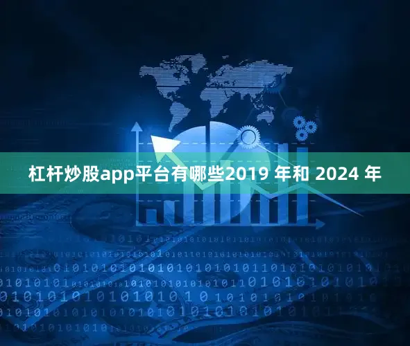 杠杆炒股app平台有哪些2019 年和 2024 年