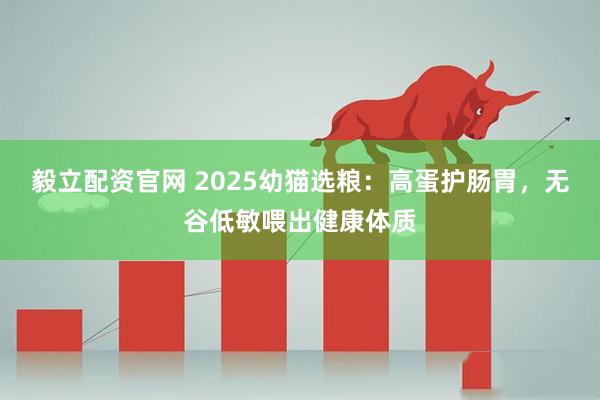 毅立配资官网 2025幼猫选粮：高蛋护肠胃，无谷低敏喂出健康体质