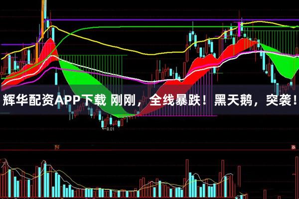 辉华配资APP下载 刚刚，全线暴跌！黑天鹅，突袭！