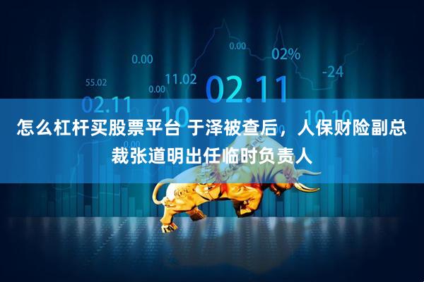 怎么杠杆买股票平台 于泽被查后，人保财险副总裁张道明出任临时负责人