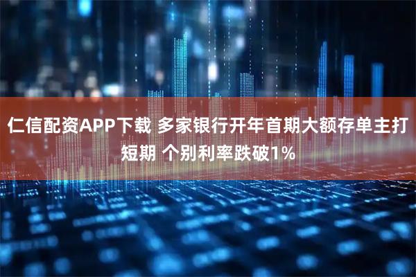 仁信配资APP下载 多家银行开年首期大额存单主打短期 个别利率跌破1%